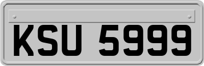 KSU5999