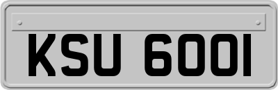 KSU6001