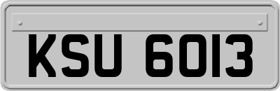 KSU6013