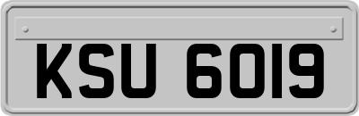 KSU6019
