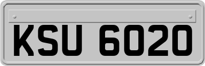 KSU6020