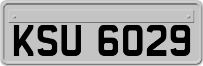 KSU6029