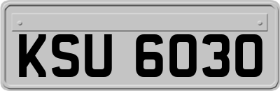 KSU6030