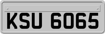 KSU6065