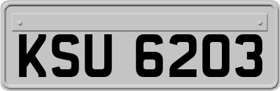 KSU6203
