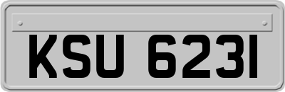 KSU6231
