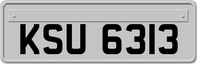 KSU6313