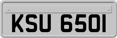 KSU6501