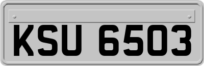 KSU6503