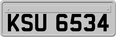 KSU6534