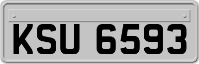 KSU6593
