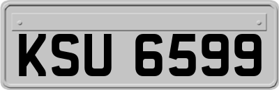 KSU6599