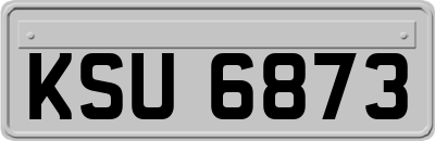 KSU6873