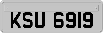 KSU6919