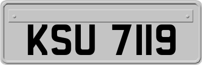 KSU7119
