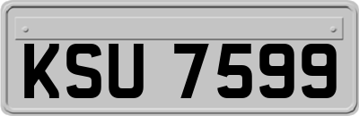 KSU7599