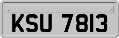 KSU7813