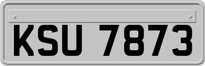 KSU7873