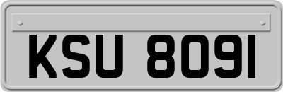 KSU8091
