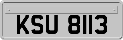 KSU8113
