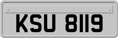 KSU8119