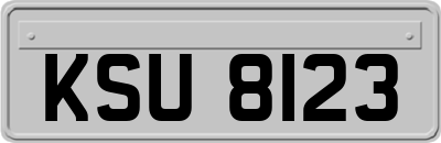 KSU8123