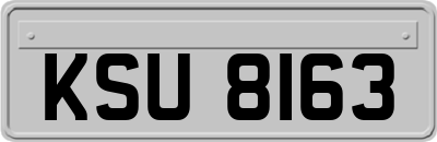 KSU8163