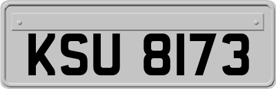 KSU8173
