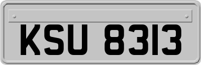 KSU8313