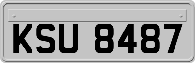 KSU8487