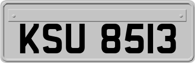 KSU8513