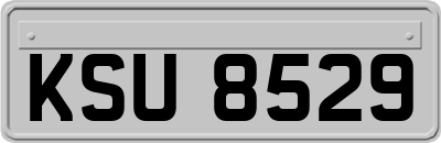 KSU8529