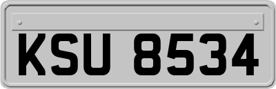KSU8534