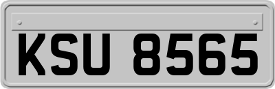 KSU8565