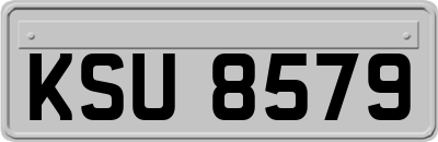 KSU8579