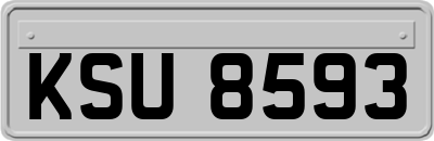KSU8593