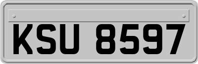 KSU8597