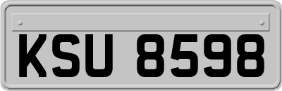 KSU8598