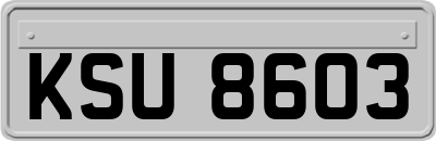 KSU8603