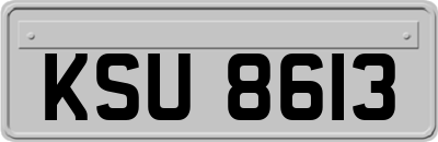 KSU8613