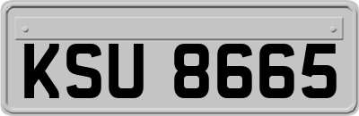 KSU8665