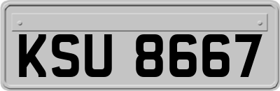 KSU8667