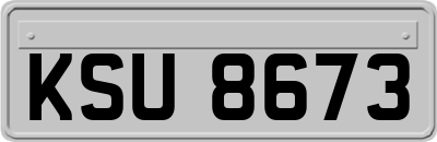 KSU8673
