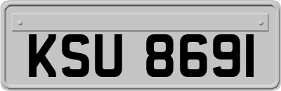 KSU8691