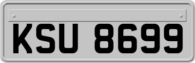 KSU8699
