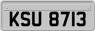 KSU8713