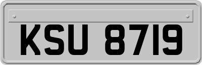 KSU8719