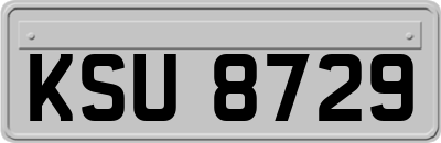 KSU8729