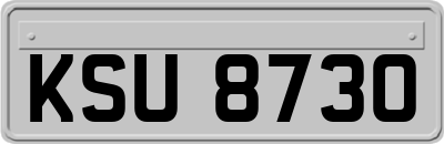 KSU8730