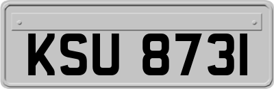 KSU8731
